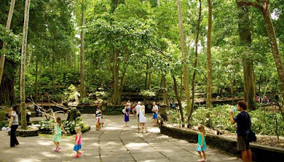Tempat dan Harga Tiket Masuk Mendala Wisata Wenara Wana – Wisata Hutan Monyet Tempat dan Harga Tiket Masuk Mendala Wisata Wenara Wana – Wisata Hutan Monyet