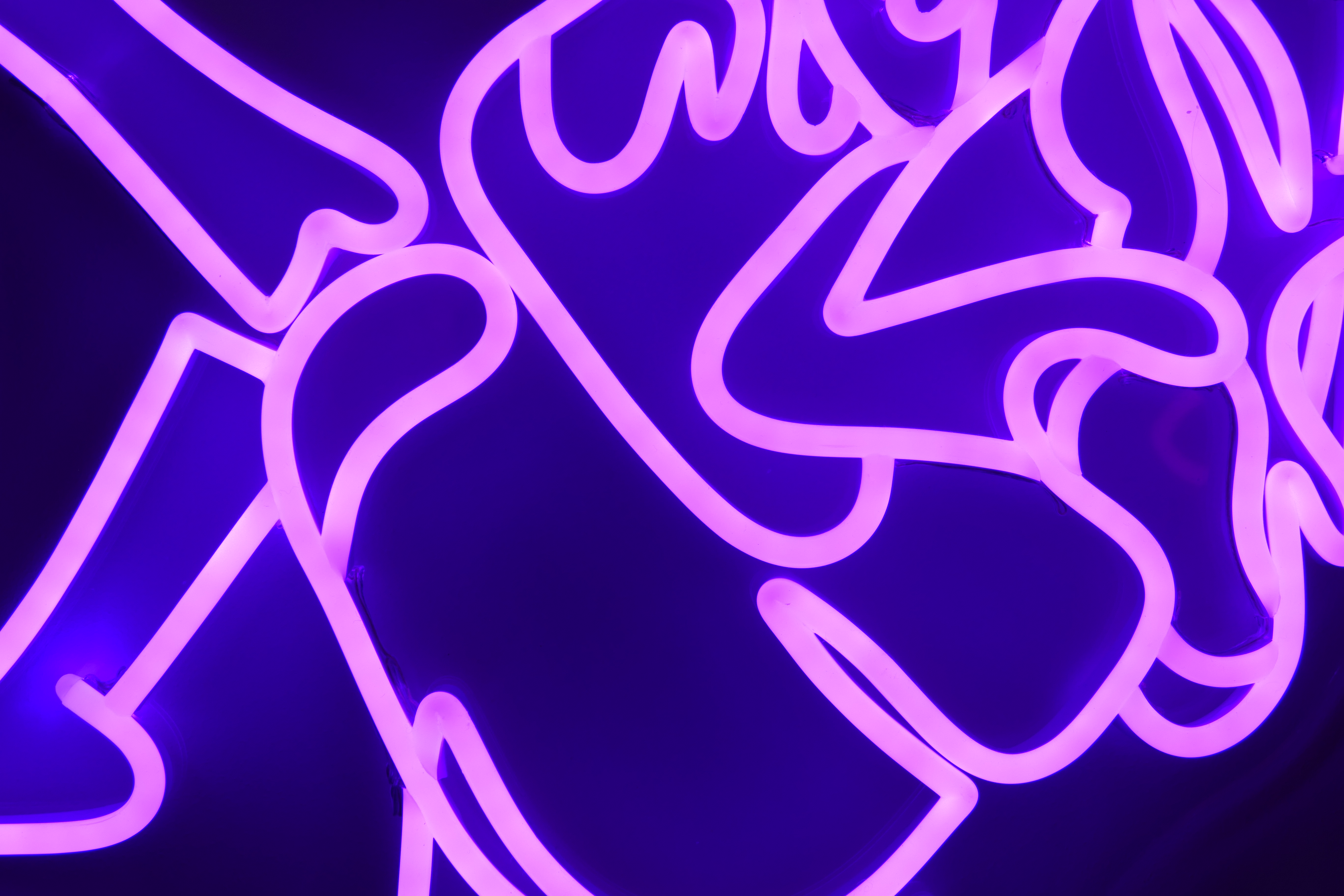 Best Neon Lights For Your Room Neon Beach Review fantail flo