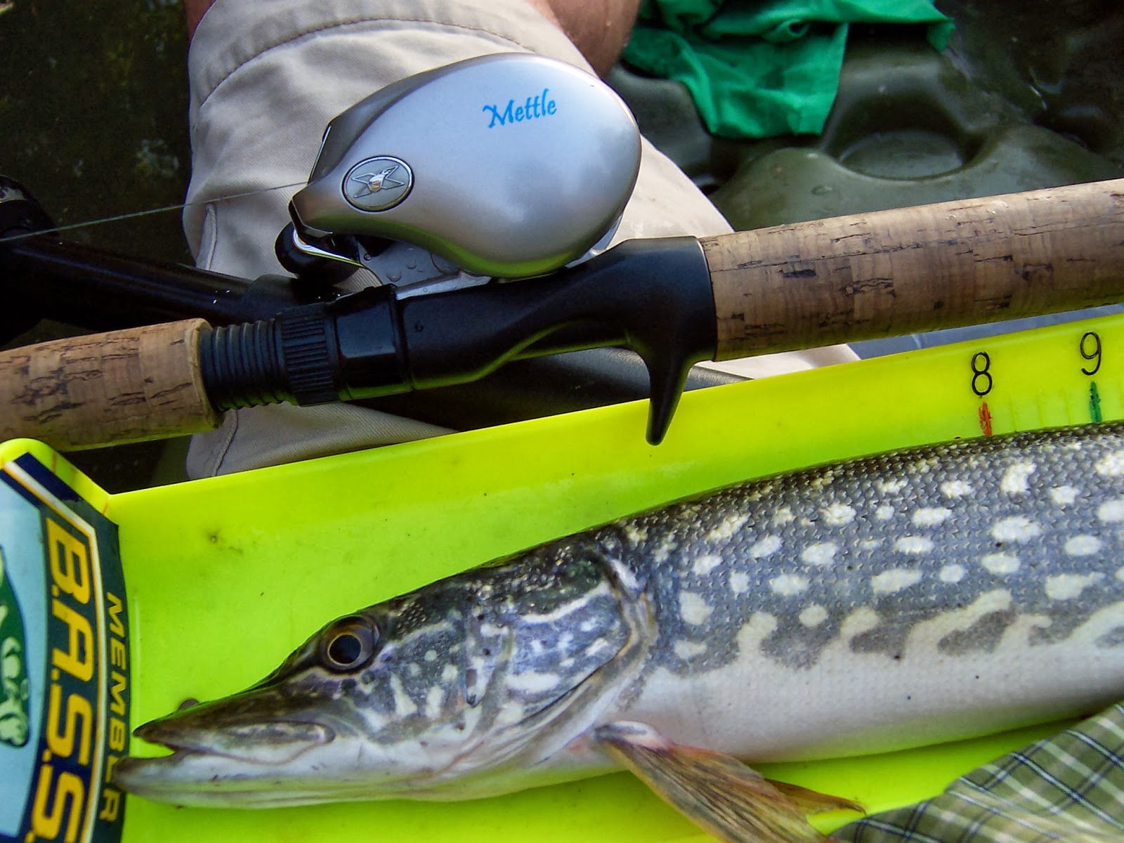 One Last Cast Des Plaines River Kayak Northern Pike Fishing