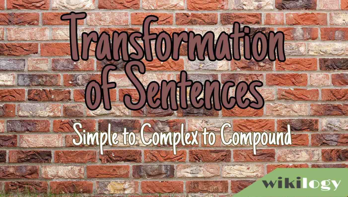 Transformation Of Sentences Simple To Complex To Compound Wikilogy