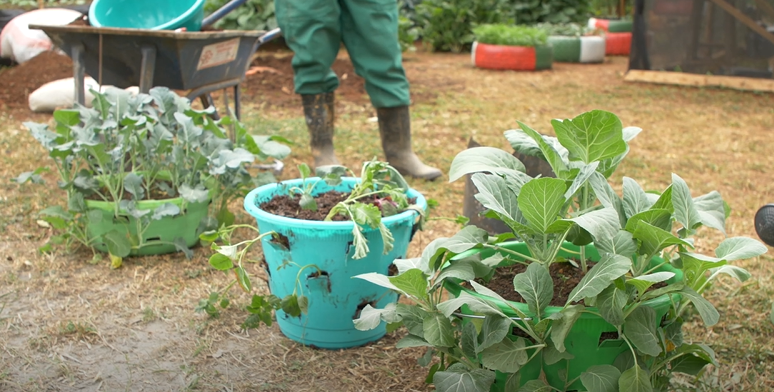 Kenya launches a 1 million kitchen gardens farming initiative