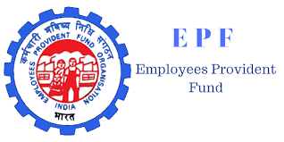 How to check PF, How to view PF online?  What is the PF check number?  What EPFO?  How to view PF passbook? How to create PF account password ?, PF