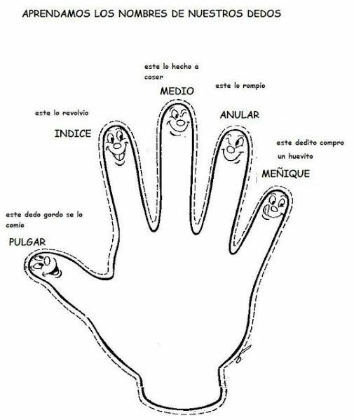 Blog de 1º de Primaria LOS DEDOS DE LA MANO