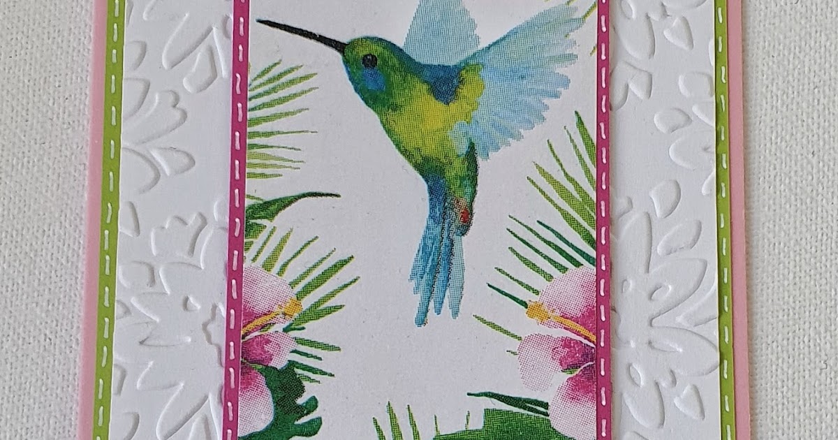 download kolibri print shop download kolibri print shop