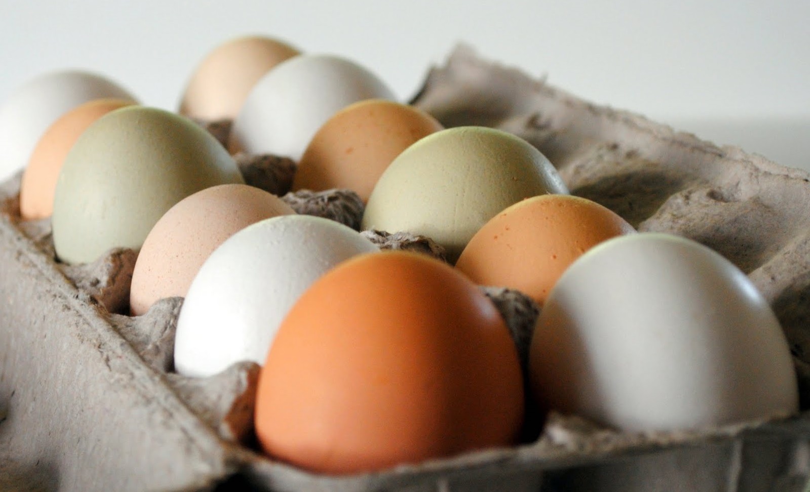 The Egg Carton Store Egg Washing Is It Really Needed?