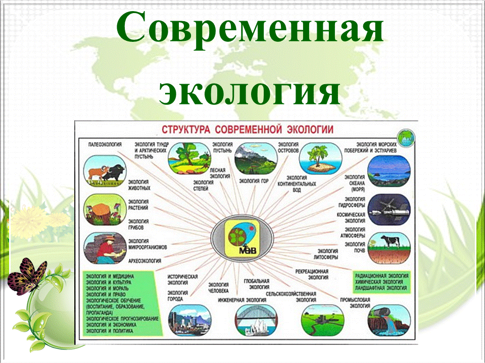 Структура современной экологии. Экология схема. Экология таблица. Экология раздел биологии.