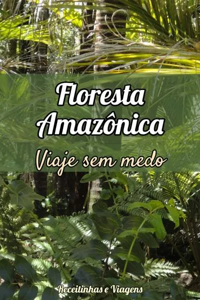 Como fazer uma viagem para a Amazônia sem medo