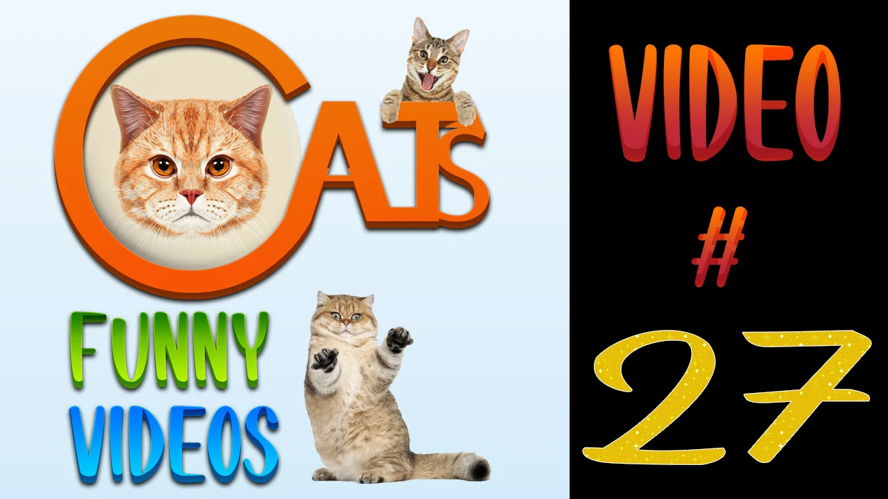 Cats Funny Videos Compilation 27 | Cute Cats |  #cats #catsvideos