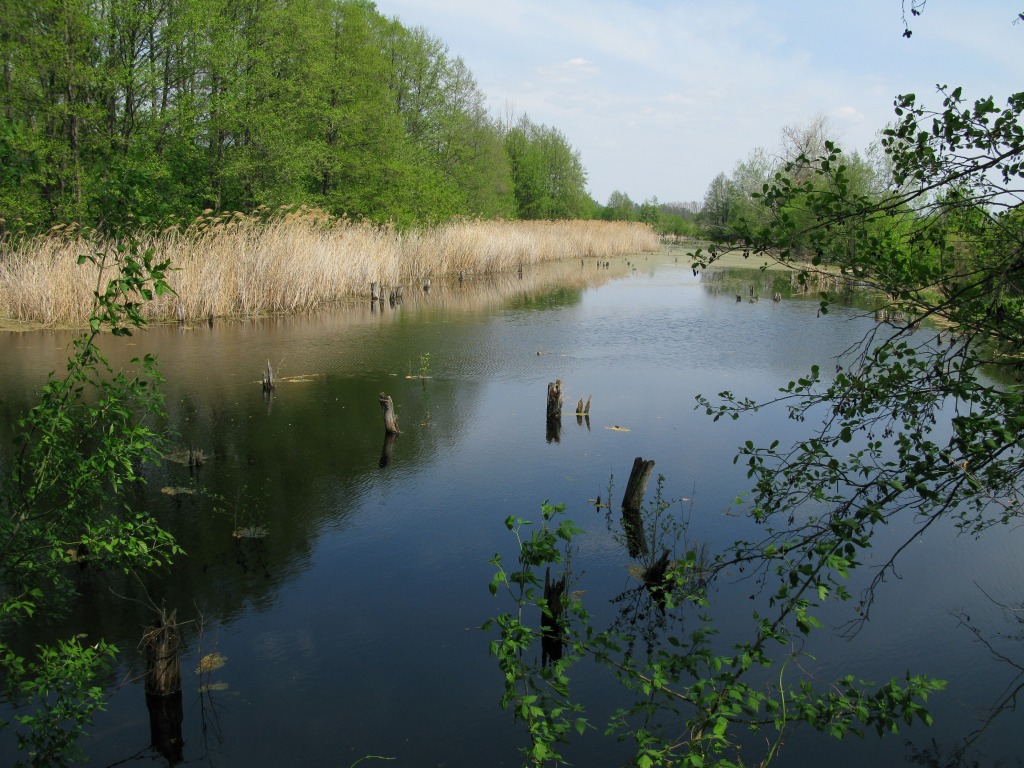 Исток реки ворскла