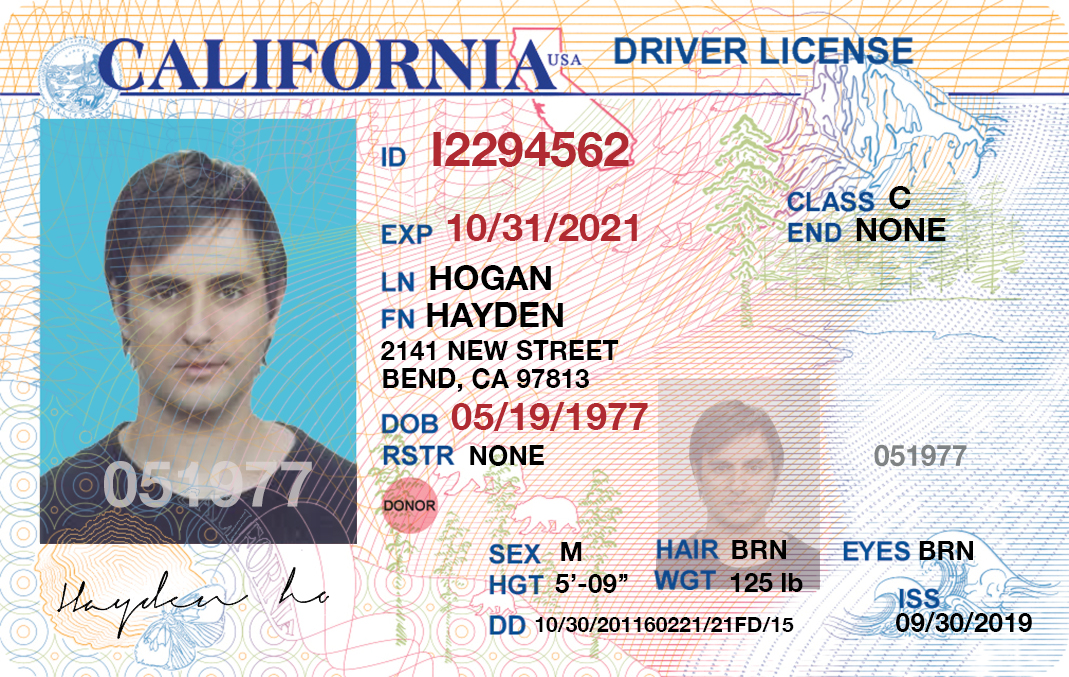 free-drivers-license-template-software-free-printable-templates