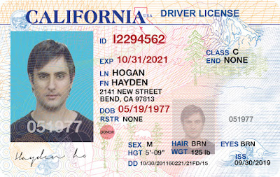 aamva driver license format aamva driver license format