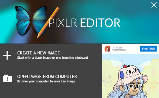 Pixlr-editor