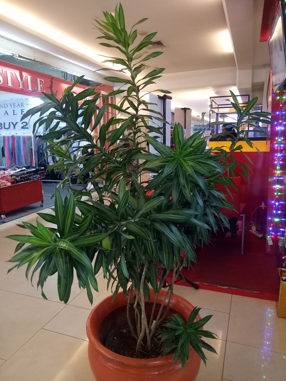 Berbicara Dengan Petani