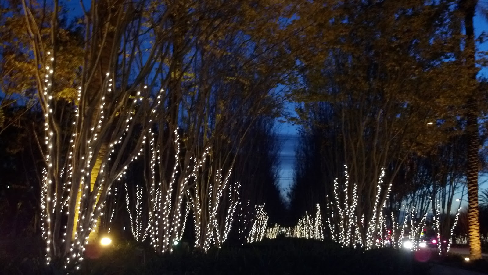 Heide Annemarie Harris: December 2013