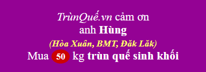Trùn quế Hòa Xuân, BMT