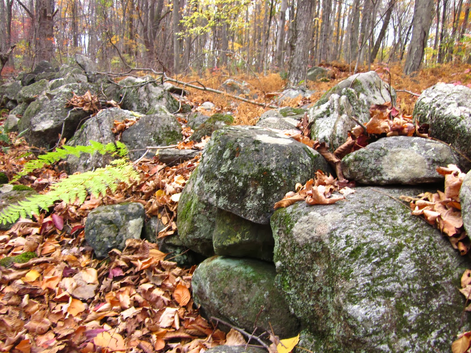 Rock Piles Quanopaug Trail Rock Pile