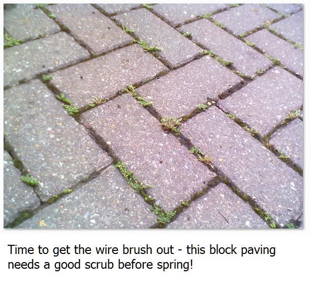 Rachel the Gardener Top Tip herringbone block paving