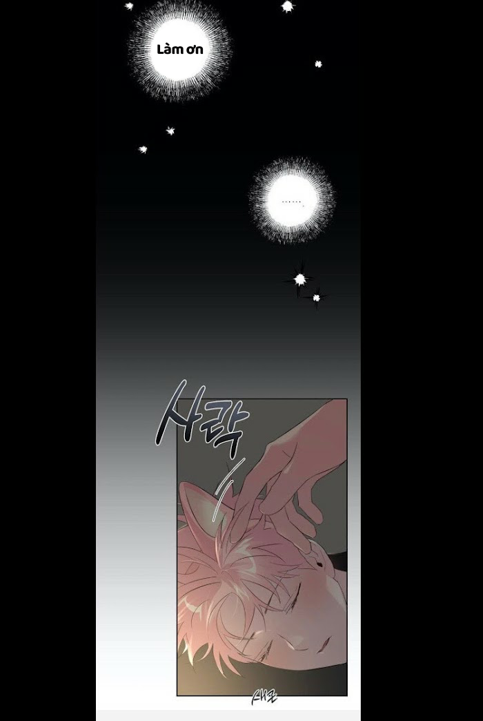 Đọc truyện Assorted Wildness - Chapter 26