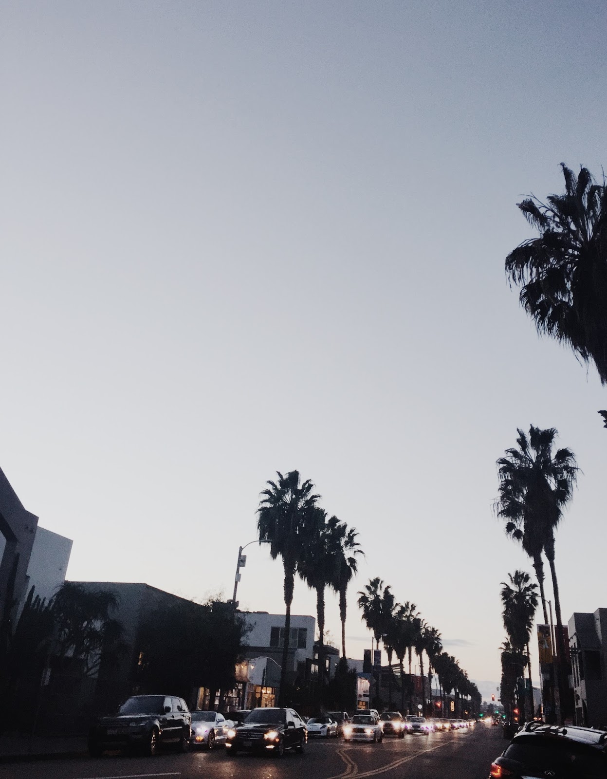 Out & About : Abbot Kinney and Fullerton | StephC