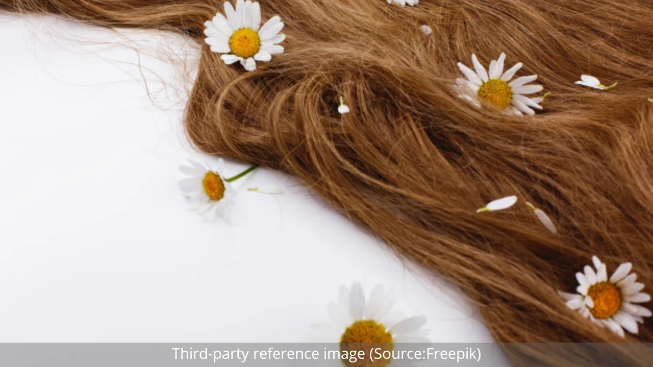 Diet for Healthy Hair | HealthInsta Diet for Healthy Hair | HealthInsta