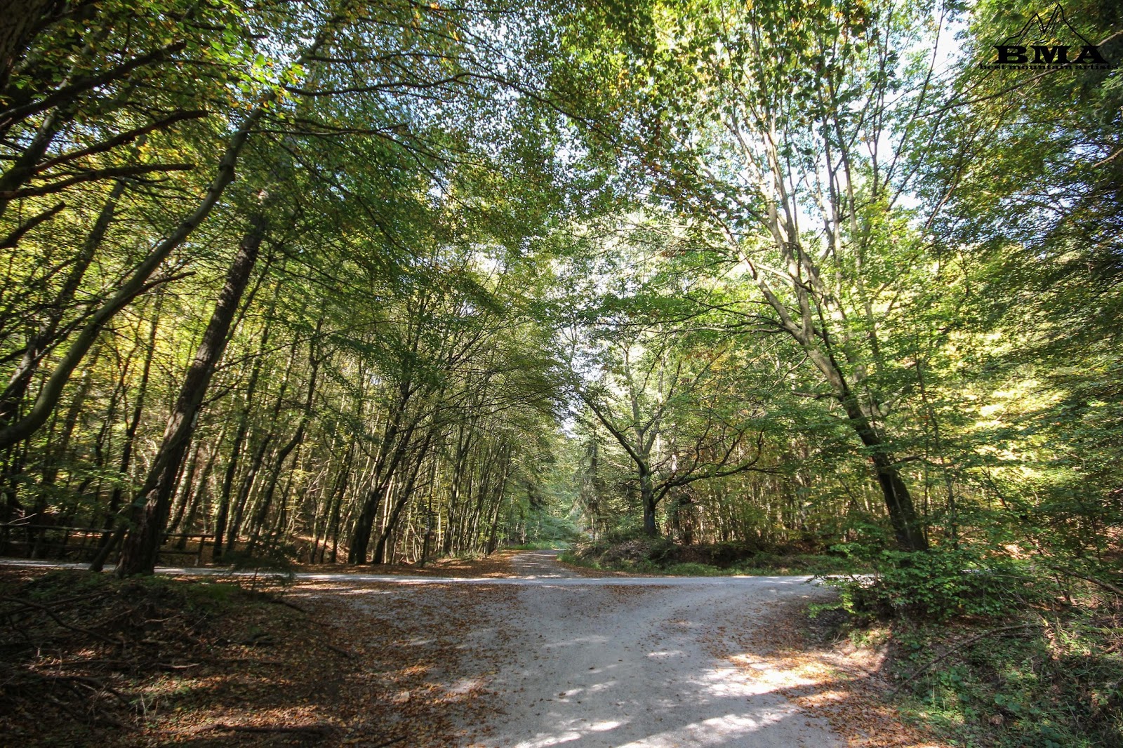 Westerwaldsteig Etappe 6 Von Freilingen Nach Nistertal
