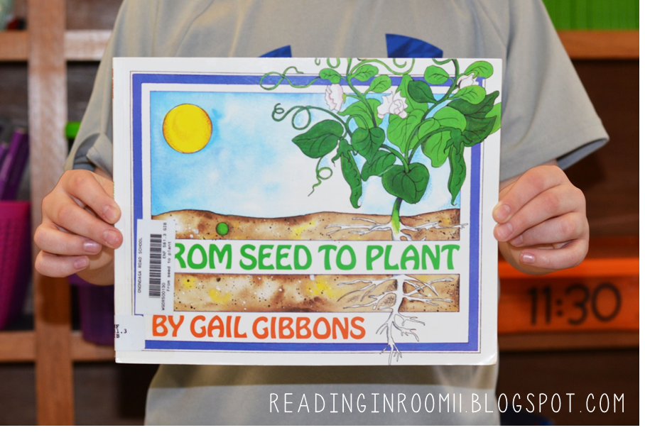 Growing Readers And Writers By Teaching With Mentor Texts Reading In Room 11