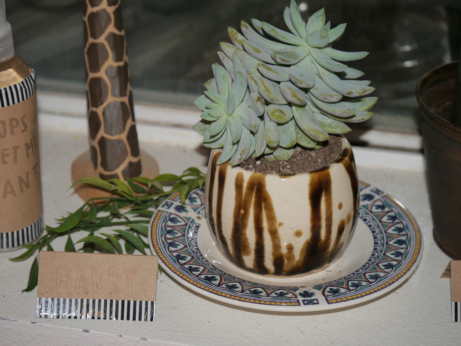 A Spoonful of Sugar Plant Care