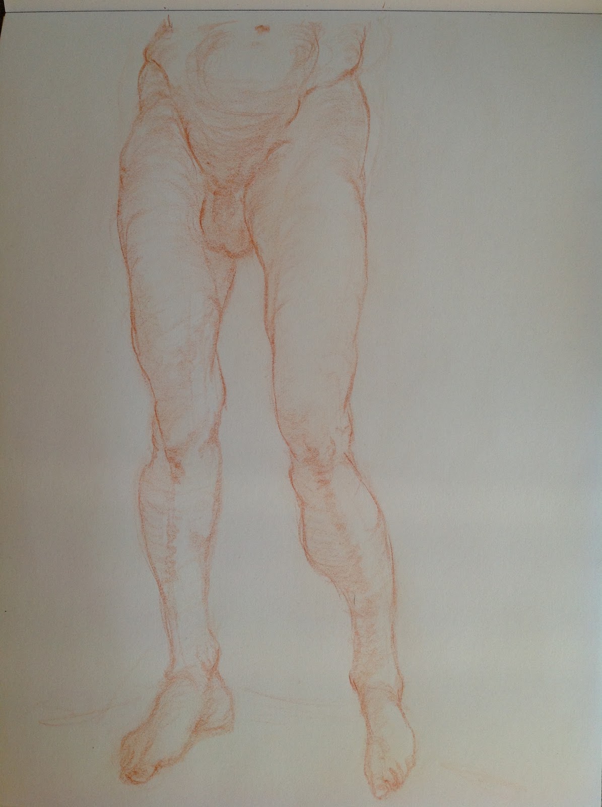 And The Splendor Is Without End: The Lure of Anatomy.