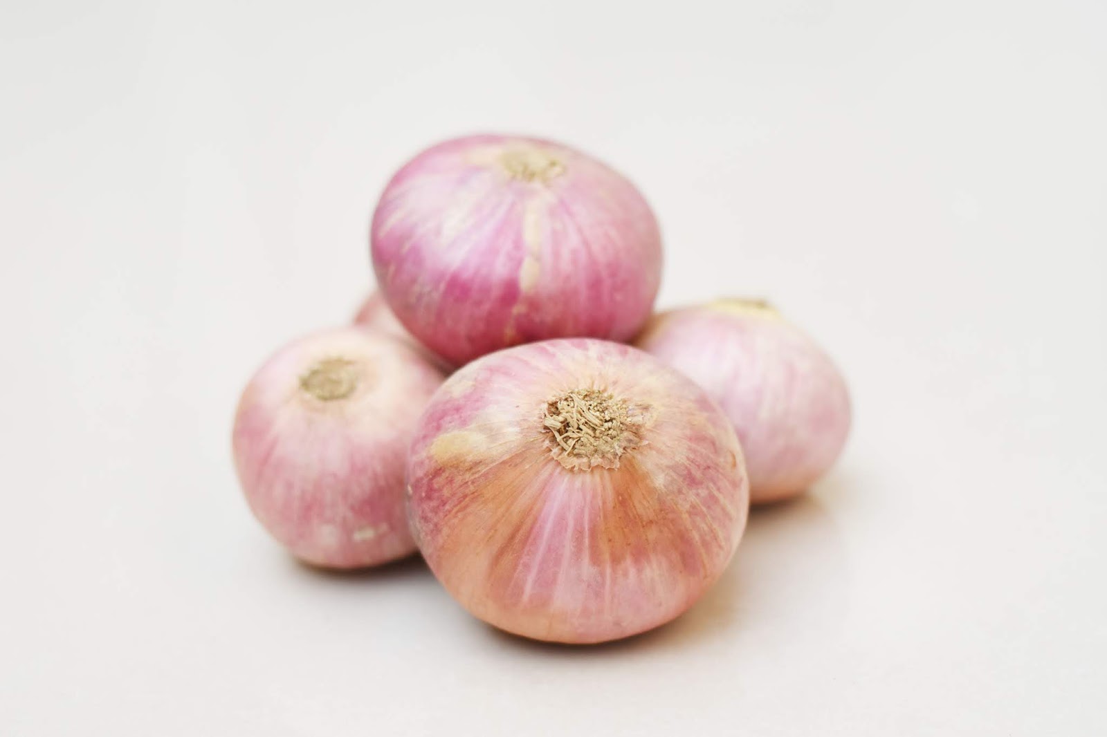 Onion in Pakistan
