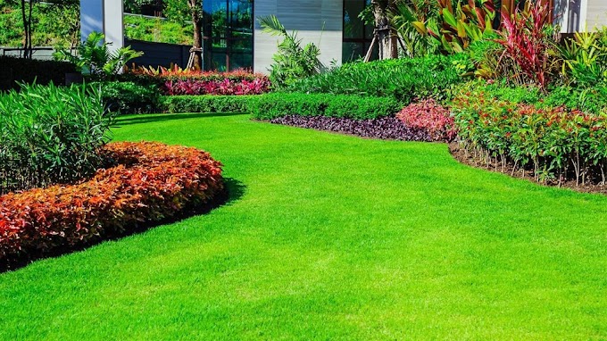 Lawn Care Training For a Beautiful Lawn
