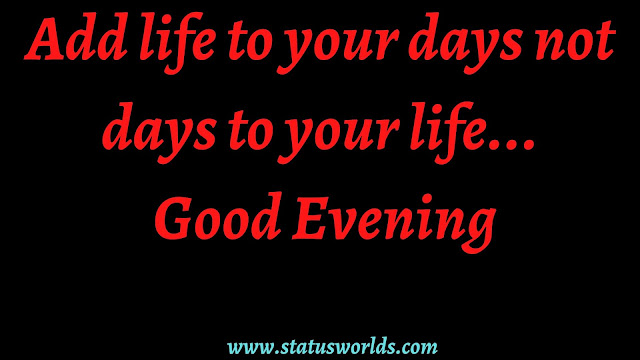  Good Evening Wishes, Status, Captions, And Quotes