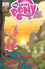 My Little Pony Friendship is Magic #9 Comic Cover B Variant