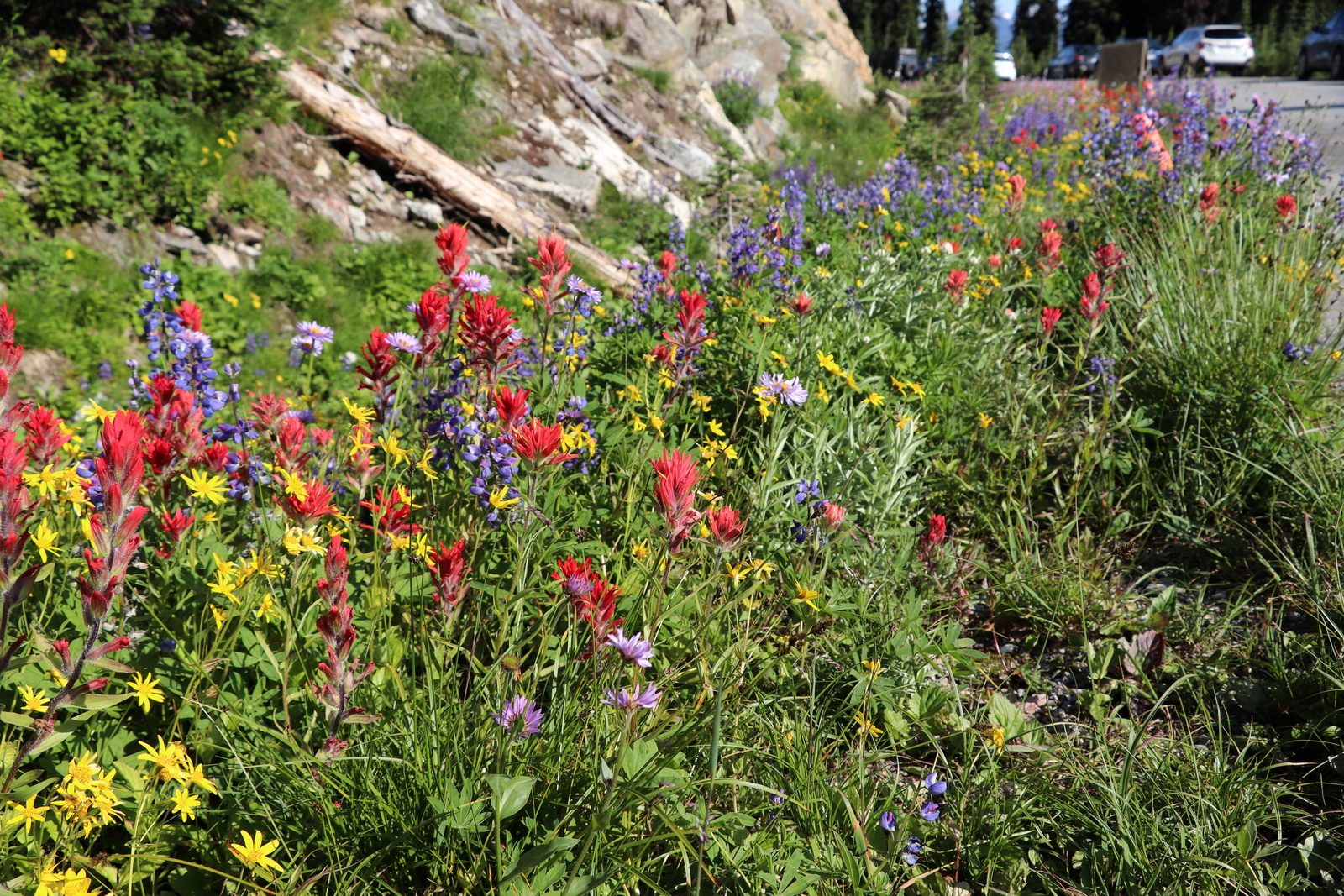 Канада2019: день 9 