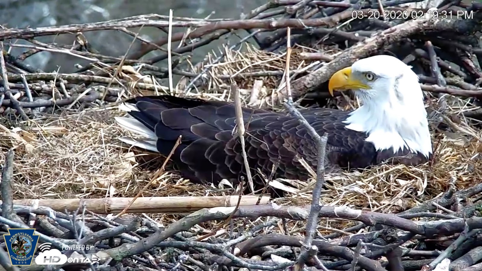 PA Environment Digest Blog: March 23 PA Environment Digest Now Available