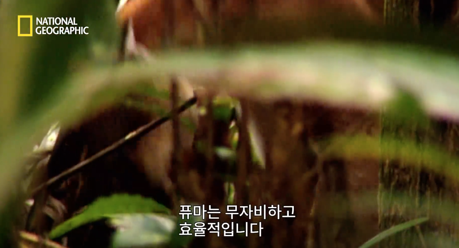 %25E1%2584%2589%25E1%2585%25B3%25E1%2584