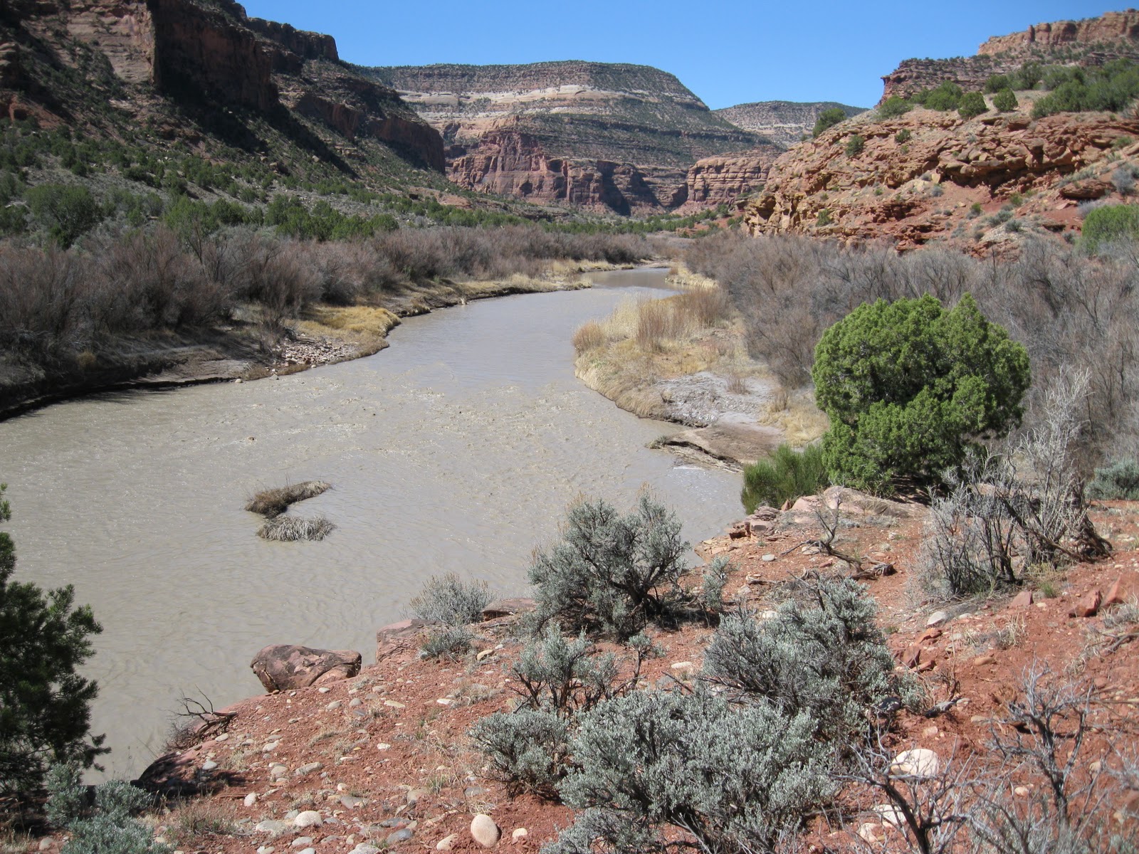 Four Corners HikesDolores River Valley Colorado Dolores River Canyon