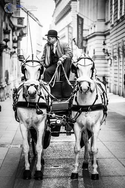 visiting-wien-carriage