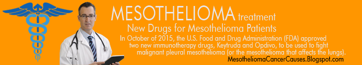 Mesothelioma Cancer Causes and Treatment