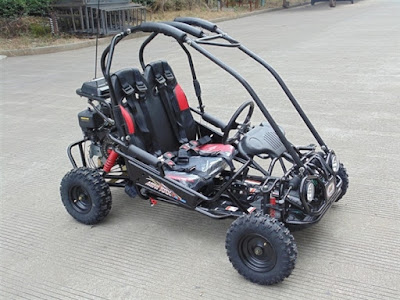 TRAILMASTER-MINI-XRXR-6