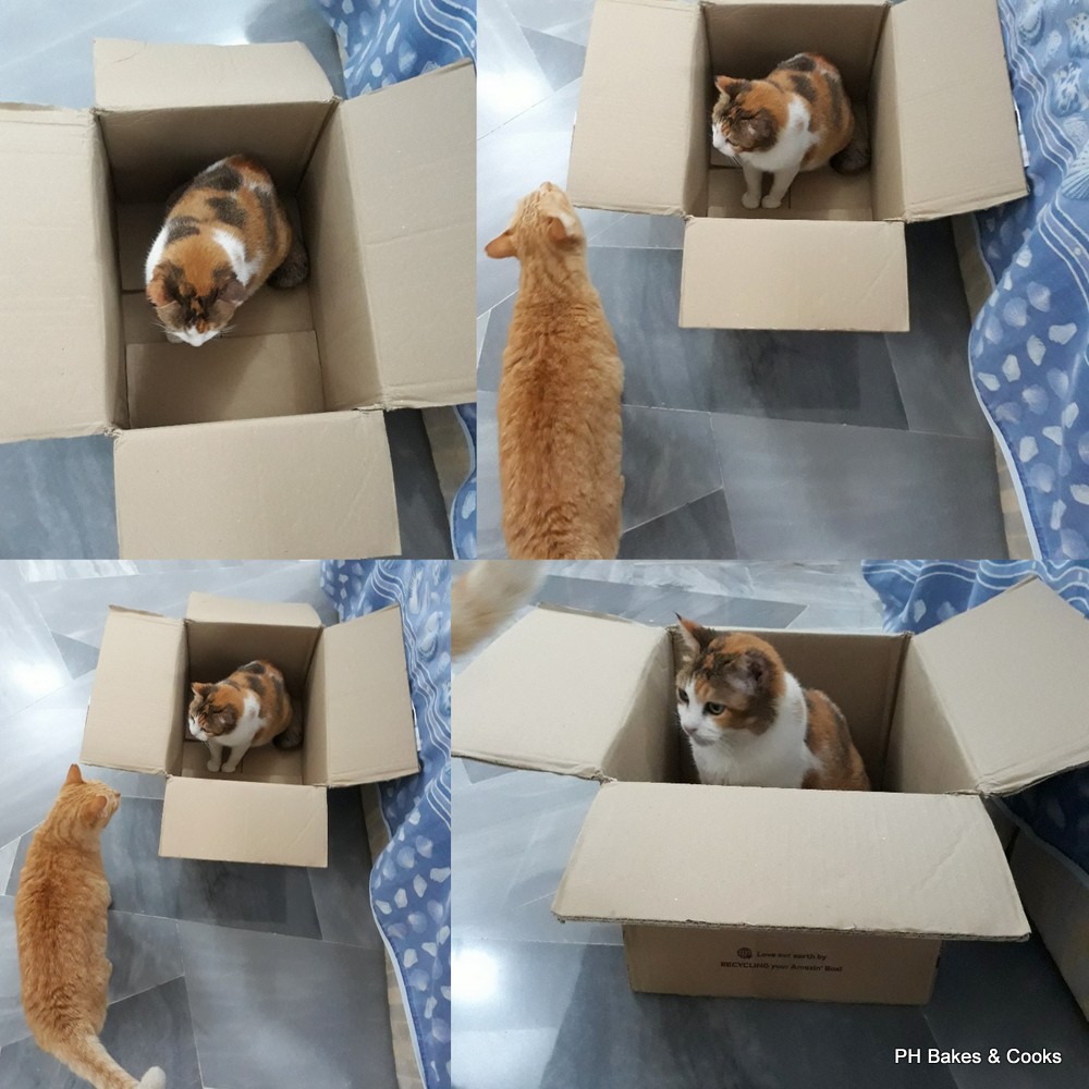 PH the Malaysian Carnivore: Thank God No Gila Shoppers Today