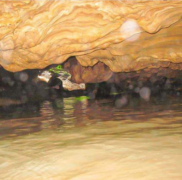 වවුල්පනේ භූගත හුණුගල් ගුහාවේ අසිරිය විදිමූ 🦇🌑🌫 (Waulpane Limestone Caves) - Your Choice Way