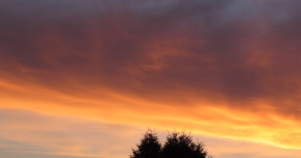 half hermit by the lake Pruned by God