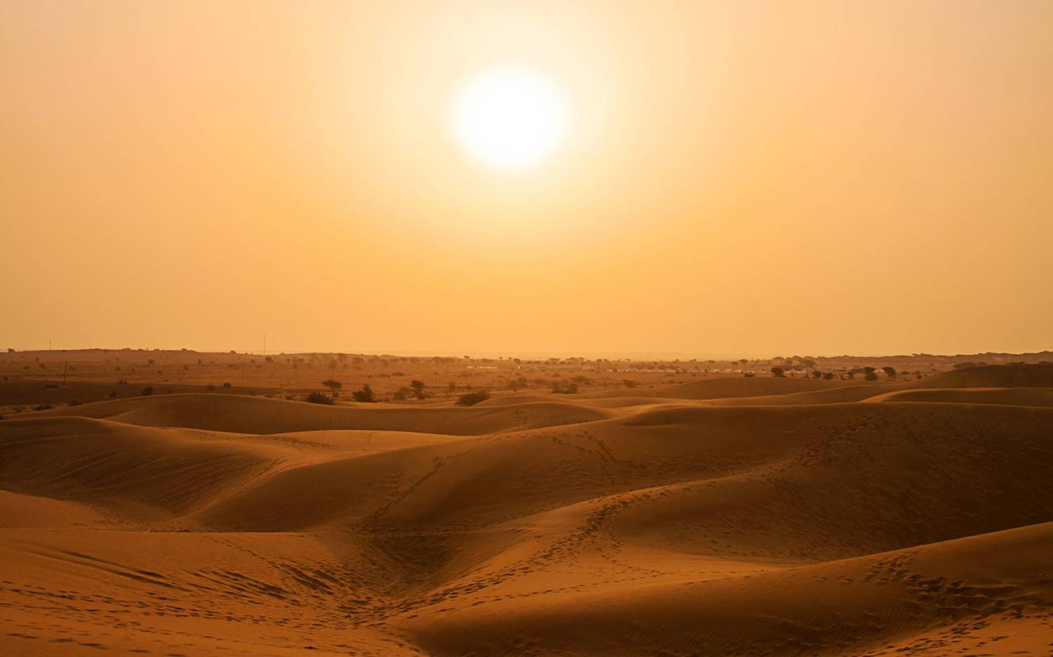 paleosistah Yuk Simak Kisah Siti Maryam, Banyak Pelajaran