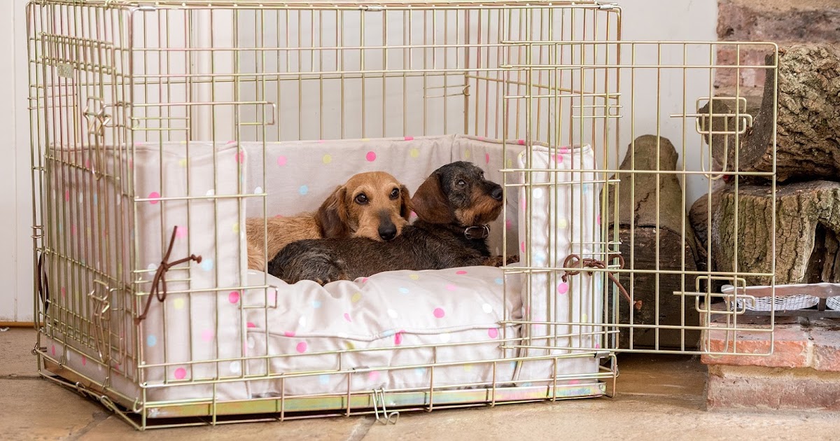 Why You Need to Crate Train Your Dog Doglopedix