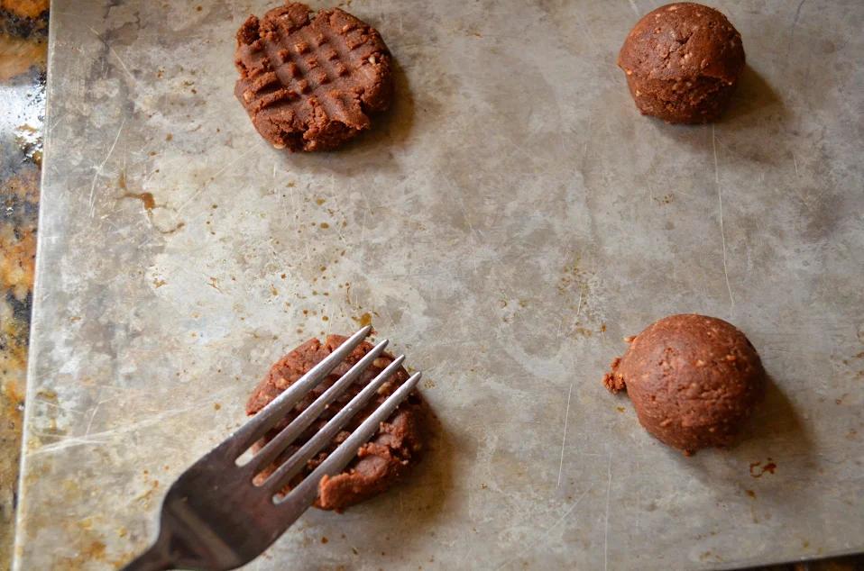 Chocolate-Peanut-Butter-Oatmeal-Protein-Cookies.jpg