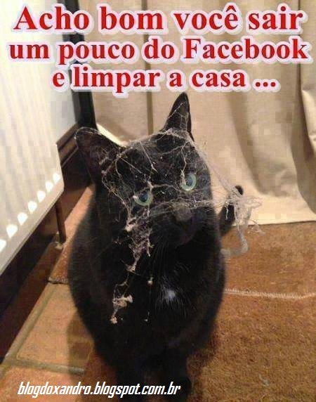 limpar.png (450×572)