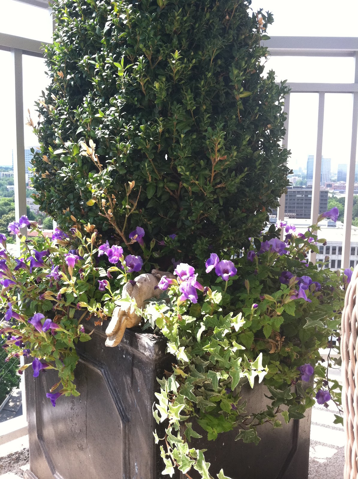 Container Gardening: Splendid Spring and Summer