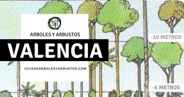 Arboles y Arbustos Provincia de Valencia