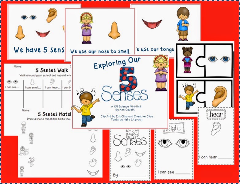 The Adventures of a K/1 Teacher: Exploring Our 5 Senses