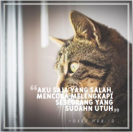 50 Kata Kata Selalu Salah Di Mata Orang Lain - yosef.web.id